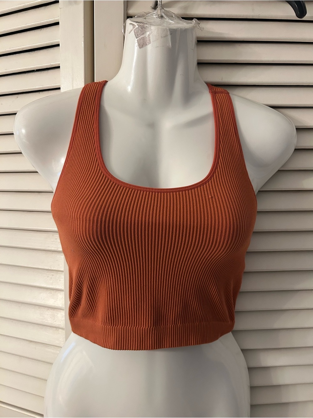 Spiritual Gangster Athena Ribbed Crop Tank - dark ginger🚨 - Picture 3 of 5